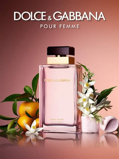 mejores perfumes dolce gabbana mujer|perfume Dolce & Gabbana mujer primor.